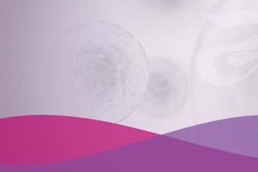 Clínica Familia Higienópolis